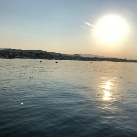Grazya *